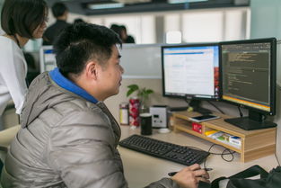 做精軟件外包，浙江服貿企業用質量征服國際市場