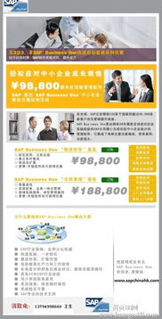 深圳SAP Business One軟件綜合服務指南 報價、實施、培訓與外包解決方案